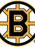 The Boston Bruins