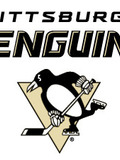 Pittsburgh Penguins Hockey Team