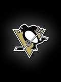 Pittsburgh Peguins