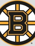 The Boston Bruins