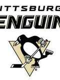 Pittsburgh Penguins hockey team